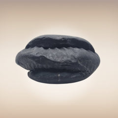 Shri Laxmi Narayan Shaligram - SH082