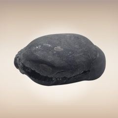 Shri Laxmi Narayan Shaligram - SH083