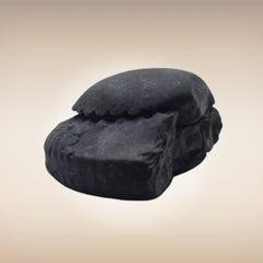 Shri Laxmi Narayan Shaligram - SH084