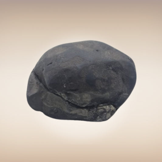 Shri Laxmi Narayan Shaligram - SH085