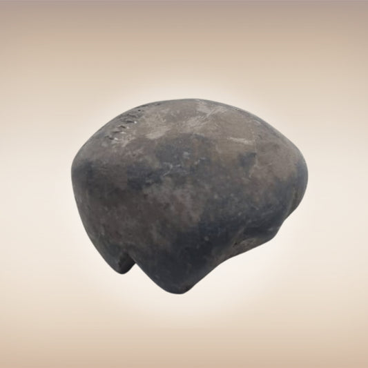 Shri Laxmi Narayan Shaligram - SH094