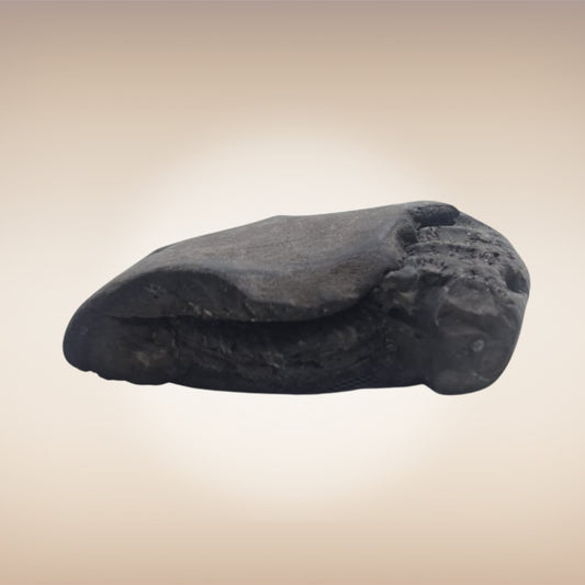 Shri Laxmi Narayan Shaligram - SH095