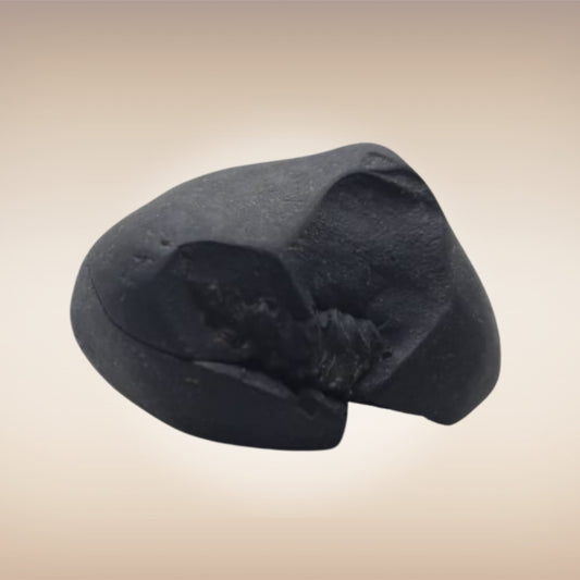 Shri Laxmi Narayan Shaligram - SH096