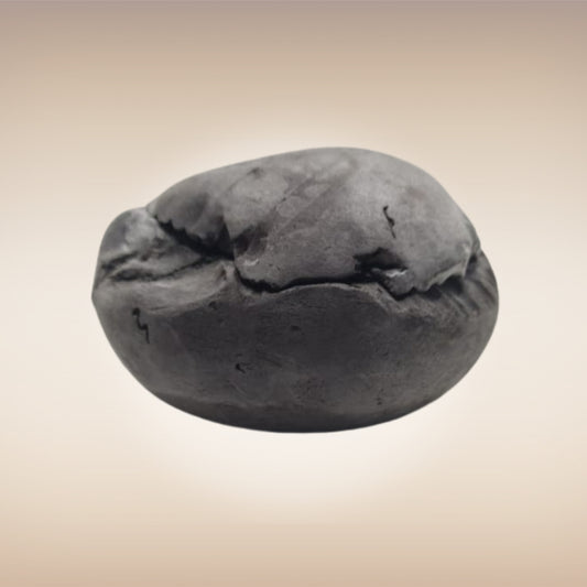Shri Laxmi Narayan Shaligram - SH098