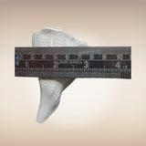 Dakshinavarti Shankh | Conch | Blowing Shankh Length 4 Inch