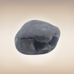 Shri Laxmi Narayan Shaligram - SH101