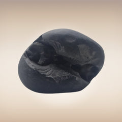 Shri Laxmi Narayan Shaligram - SH103