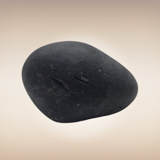 Shri Laxmi Narayan Shaligram - SH107