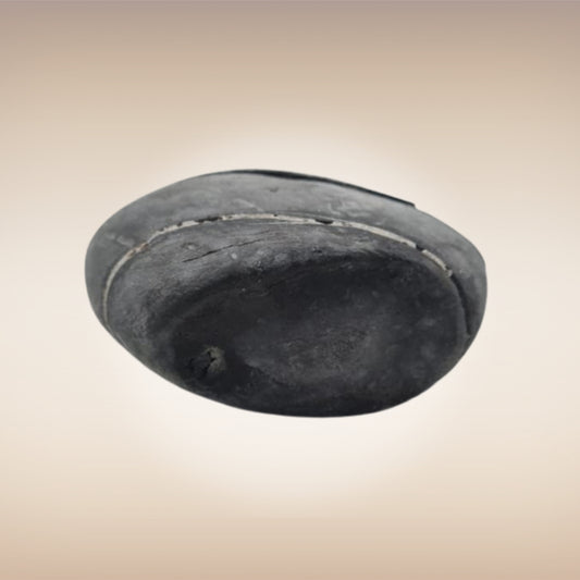 Shri Laxmi Narayan Shaligram - SH112