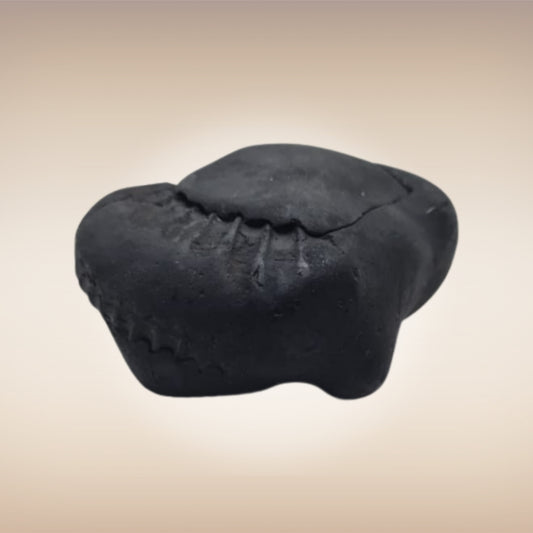 Shri Laxmi Narayan Shaligram - SH115