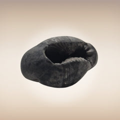 Shri Laxmi Narayan Shaligram - SH116