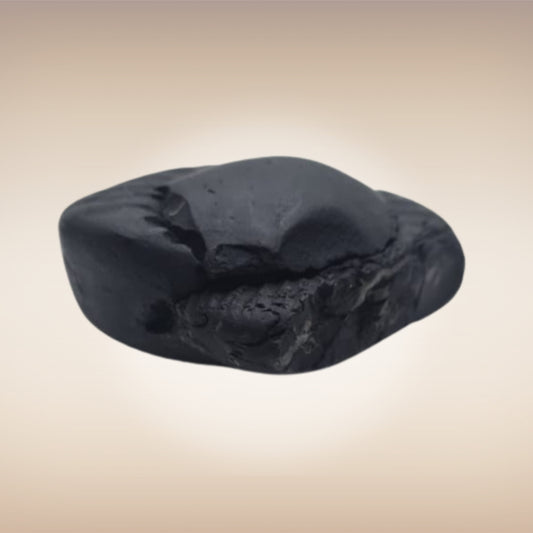 Shri Laxmi Narayan Shaligram - SH121