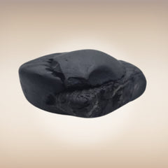 Shri Laxmi Narayan Shaligram - SH121