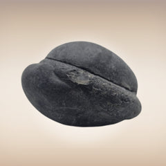 Shri Laxmi Narayan Shaligram - SH122