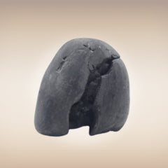 Shri Laxmi Narayan Shaligram - SH130