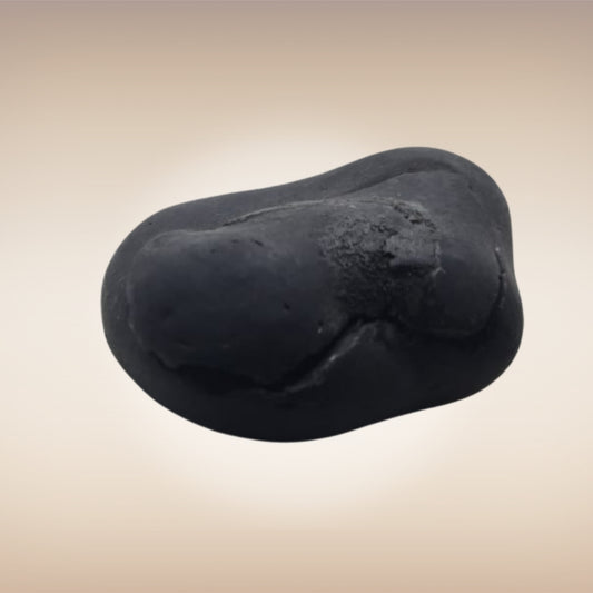 Shri Laxmi Narayan Shaligram - SH135