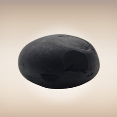 Shri Laxmi Narayan Shaligram - SH136