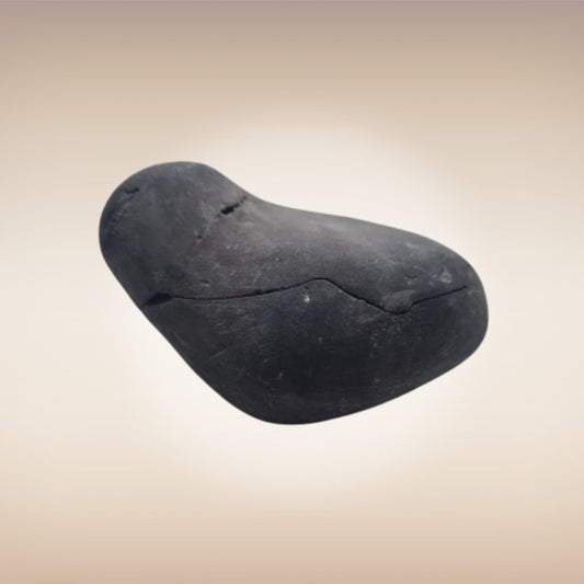 Shri Laxmi Narayan Shaligram - SH137