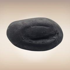Shri Laxmi Narayan Shaligram - SH139
