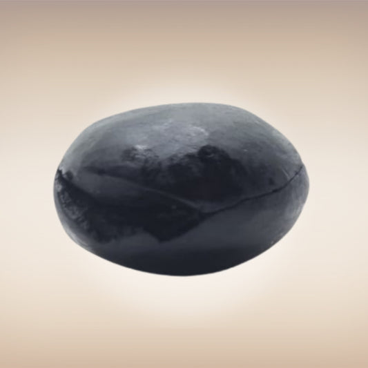 Shri Laxmi Narayan Shaligram - SH144