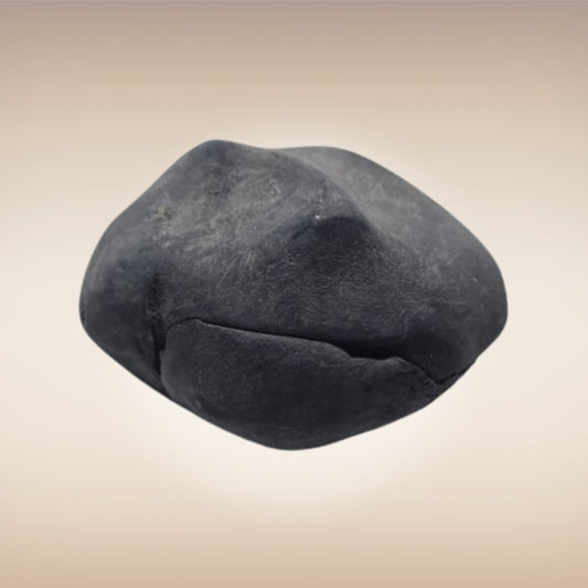 Shri Laxmi Narayan Shaligram - SH145