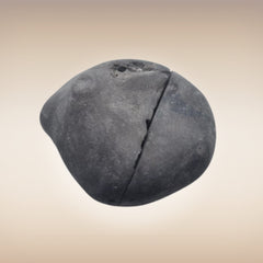 Shri Laxmi Narayan Shaligram - SH146