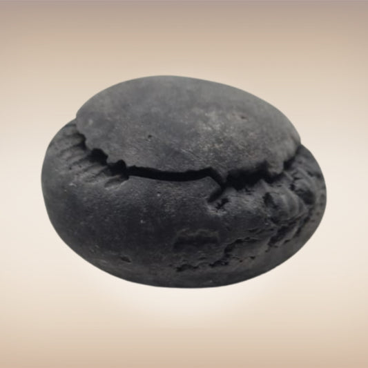 Shri Laxmi Narayan Shaligram - SH148