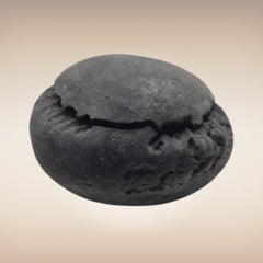 Shri Laxmi Narayan Shaligram - SH148
