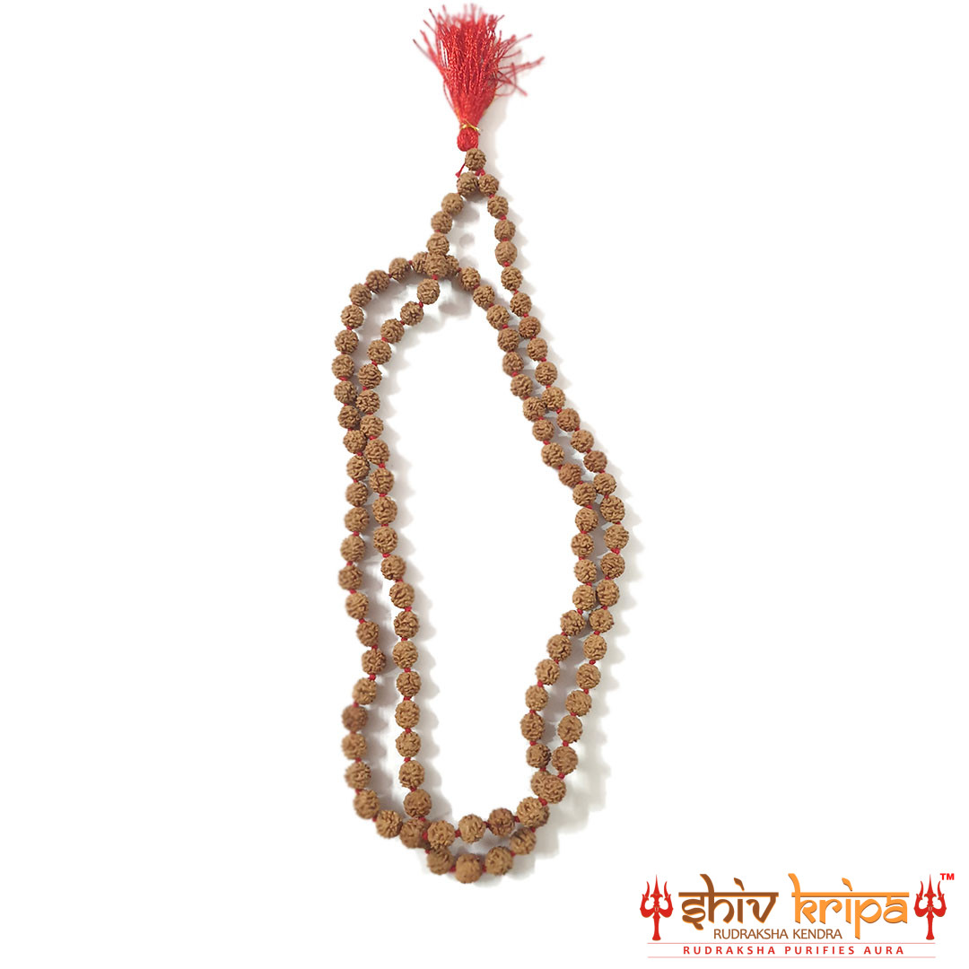 5 Mukhi Certified Rudraksha Mala Premium Quality 108+1 Beads 2