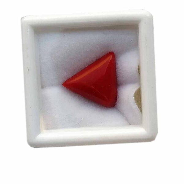 Italian Red Coral 5.31ct