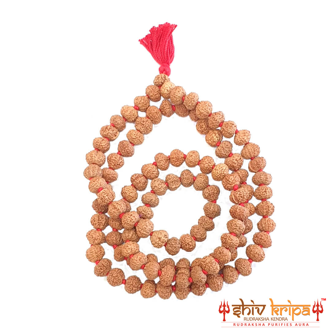 Ganesh rudraksha mala,108 +1 beads 1