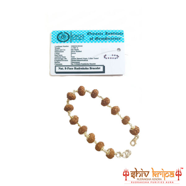 8 mukhi rudraksha bracelet in pure silver 92.5ct1