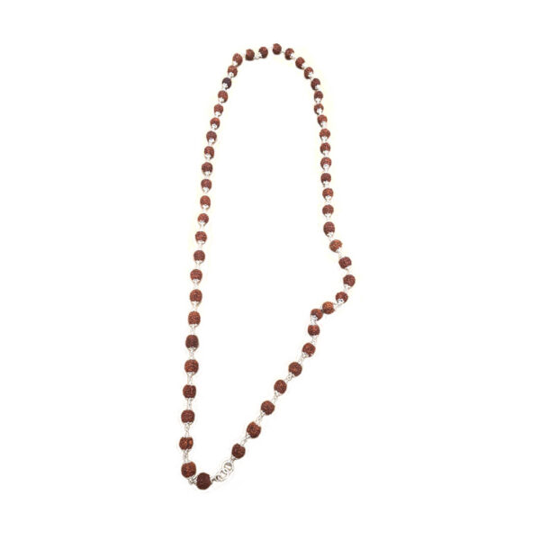 Rudraksha Mala 54+1 beads in Pure Silver Capping 3