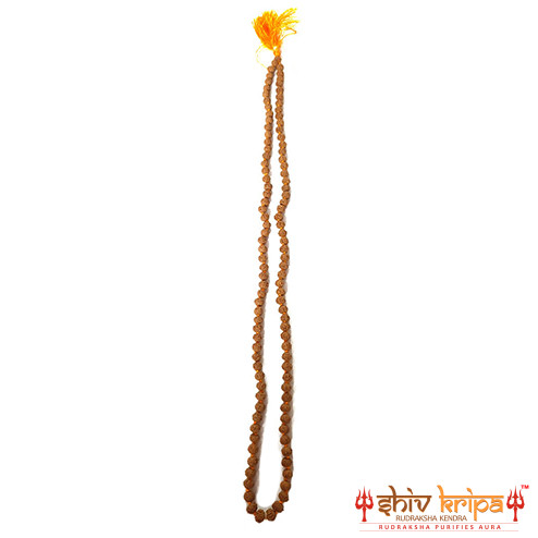 5 mukhi rudraksha mala (semi- chikna beads) 108+1 beads 2