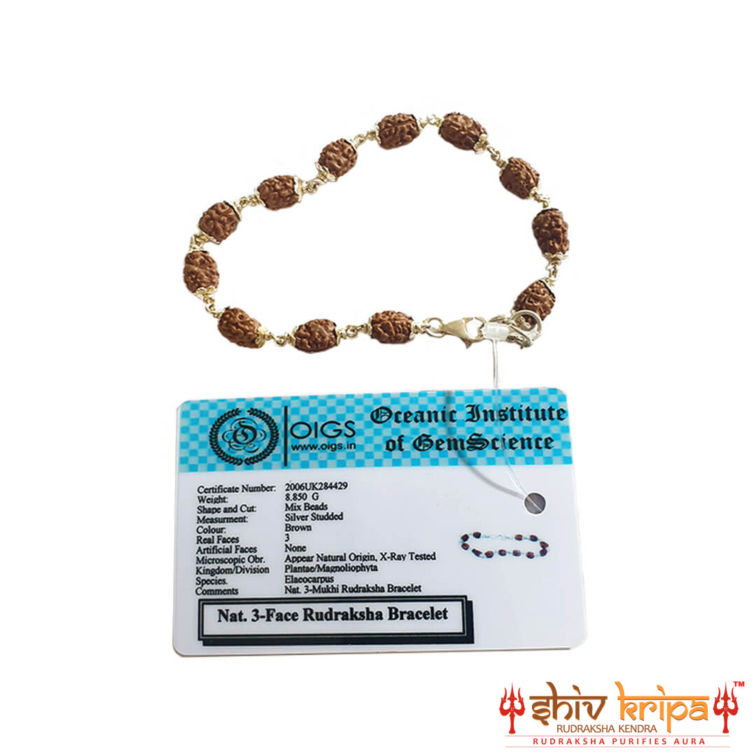 3 mukhi rudraksha bracelet in pure silver 92.5ct 1