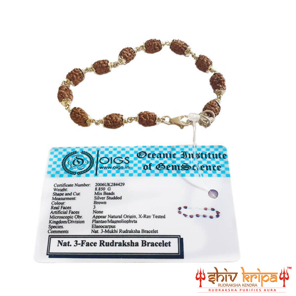 3 mukhi rudraksha bracelet in pure silver 92.5ct 2